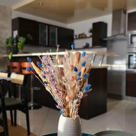 Apartman Beautiful&big For 8persons Parking Free *